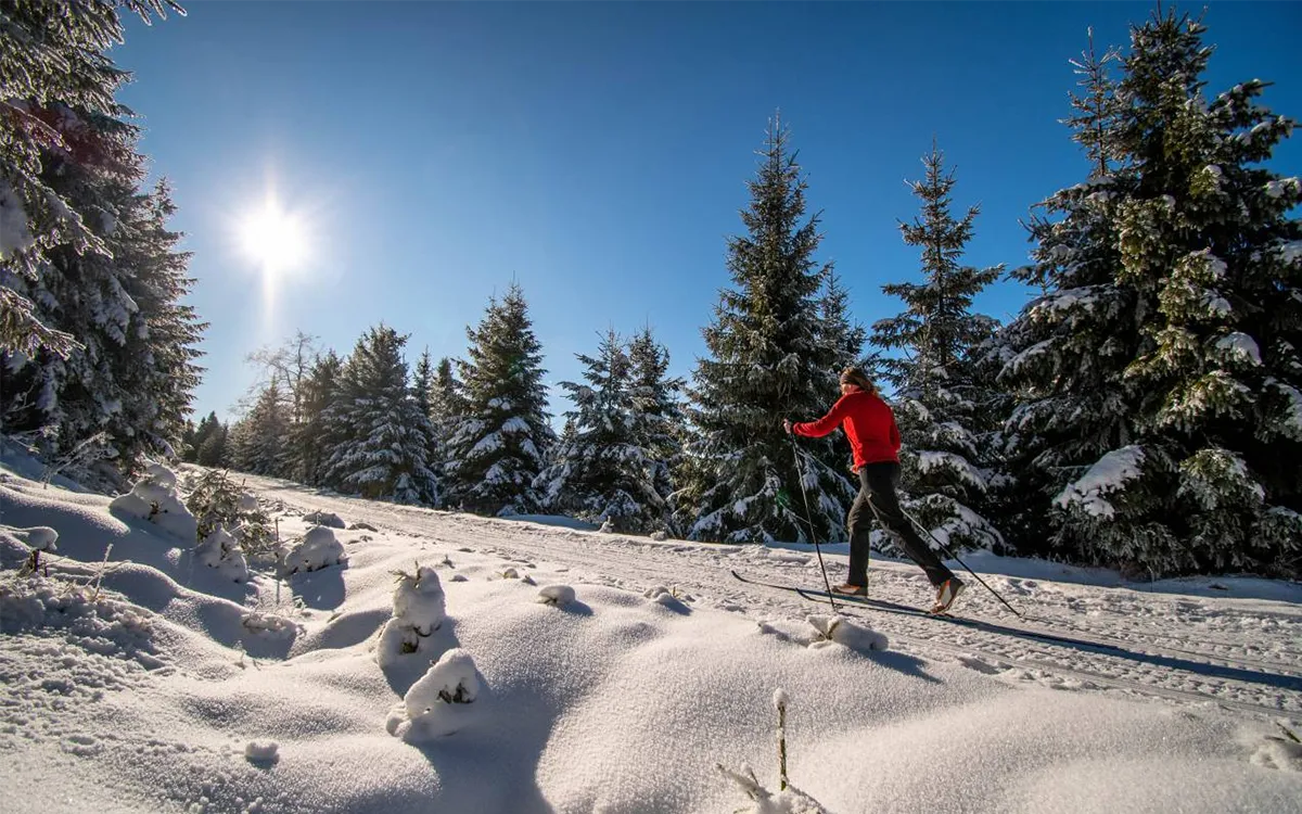 Seminarium medyczne: Sauerland – Willingen