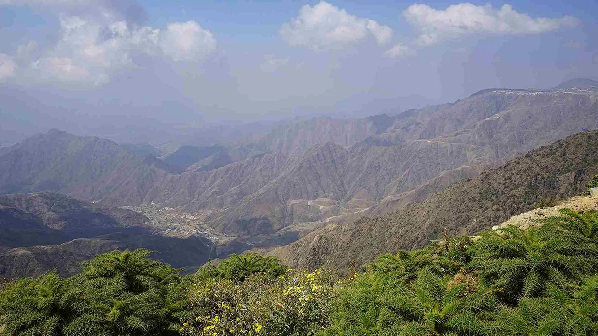 Polskie Towarzystwo Medyczne w Niemczech - Seminarium Arabia Saudyjska 30.01–06.02.2026